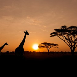 When to go to Tanzania