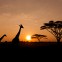 When to go to Tanzania