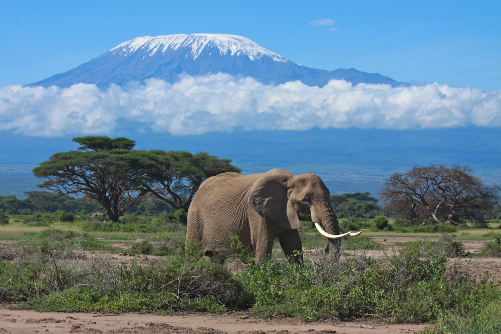 When to go to Mount Kilimanjaro