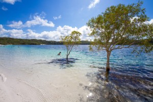 Best Time to go to Fraser Island
